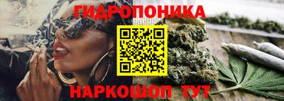 гашиш Лесосибирск