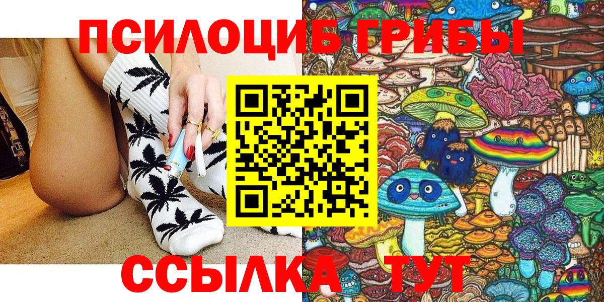 Псилоцибиновые грибы Cubensis Аксай